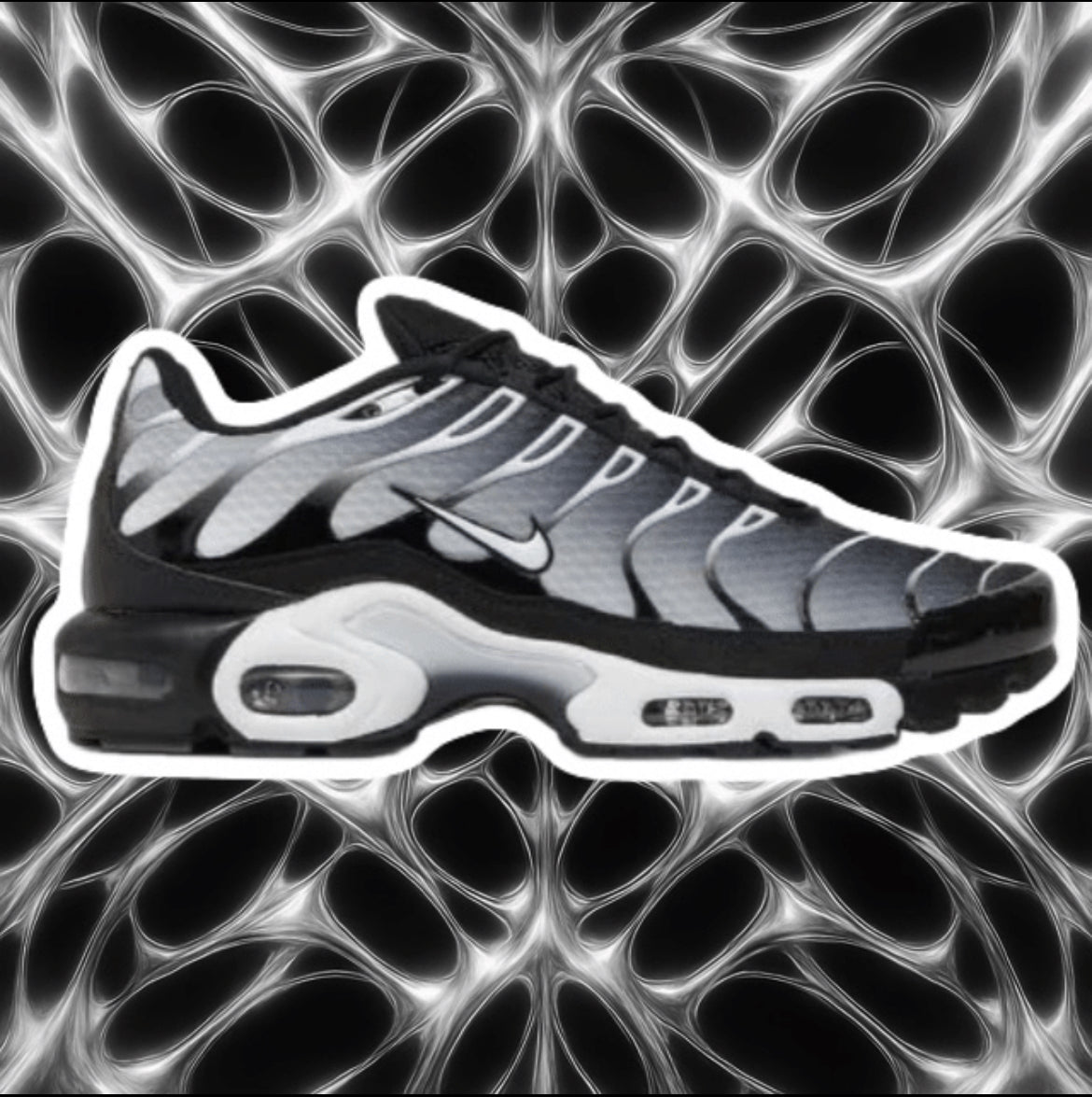 Air Max Plus TN BLACK SILVER WHITE